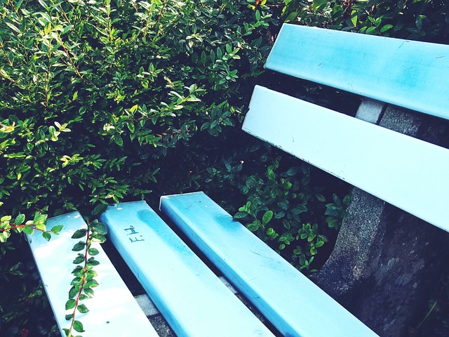 刺激和挑战 刺激和挑战